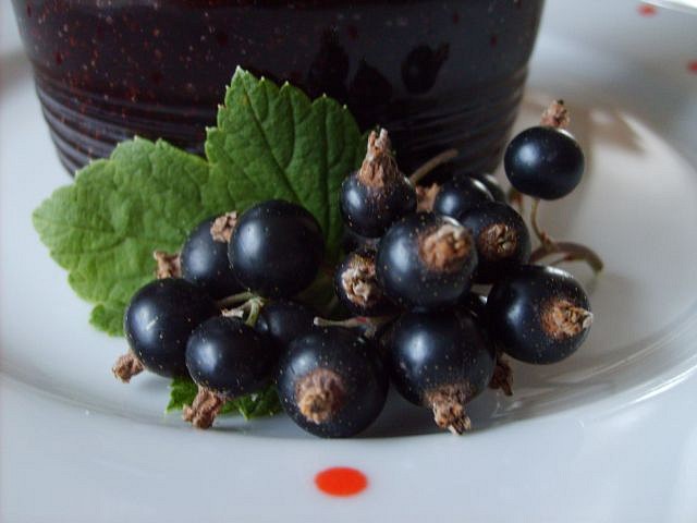 Marmeláda - rosol z černého rybízu - nevařená