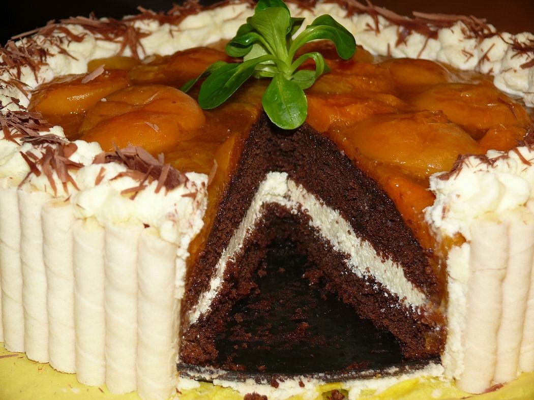 Meruňkový dortík recept 