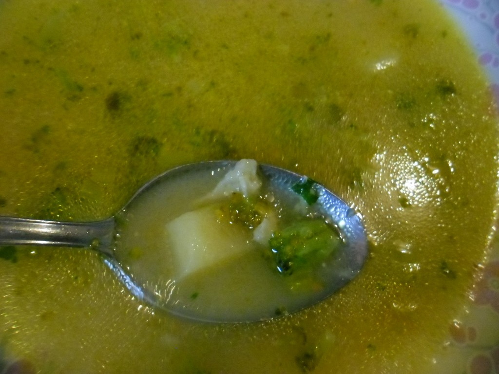Polévka zeleninová s pangasem