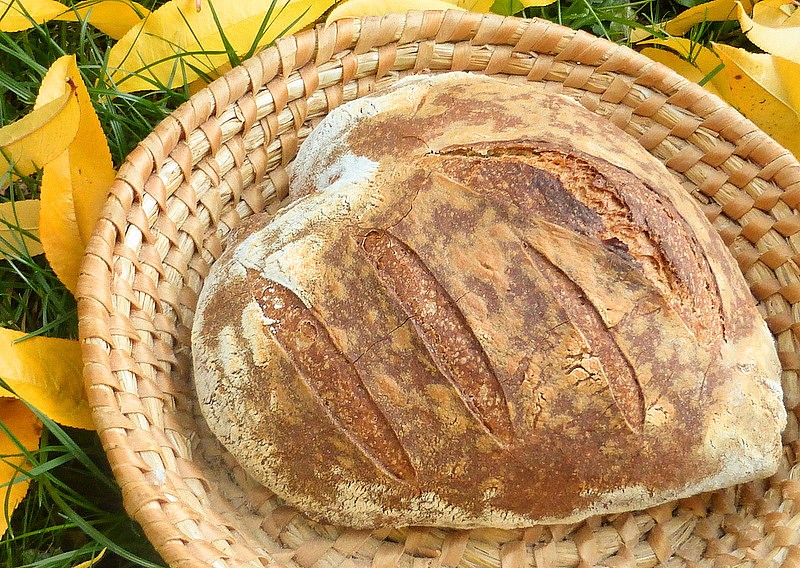 Světlý pšenično-žitný chléb (list)