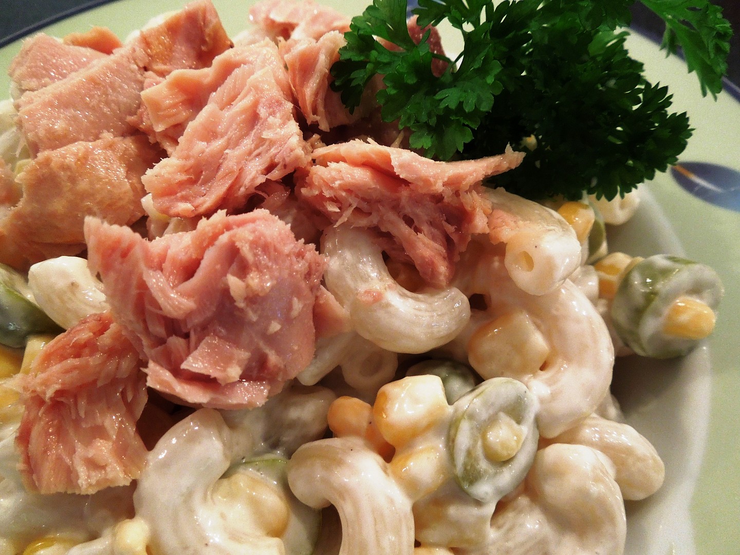 Těstovinovo – tuňákový salát